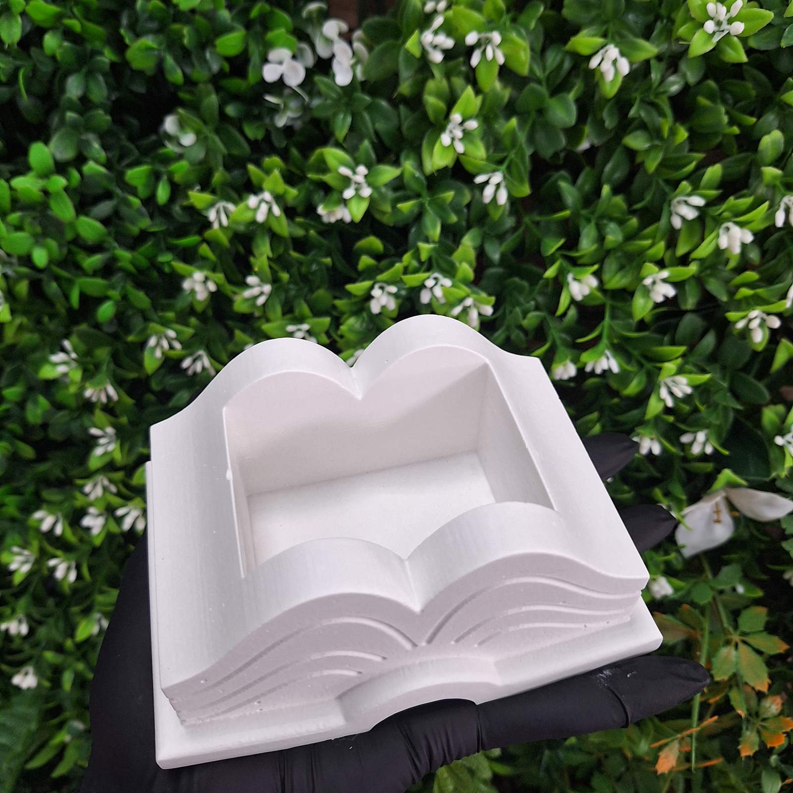 кашпа книга
